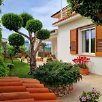 Kleade 3* 泰拉西尼