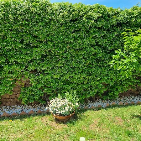 Bed and breakfast Kleade Terrasini