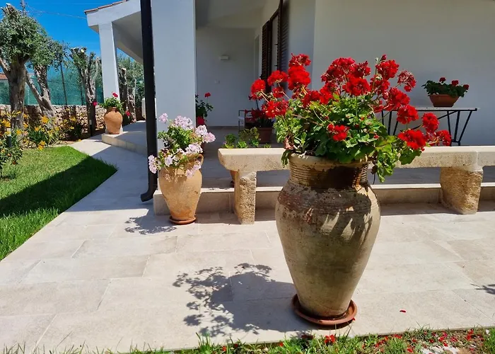 Kleade Bed and breakfast Terrasini