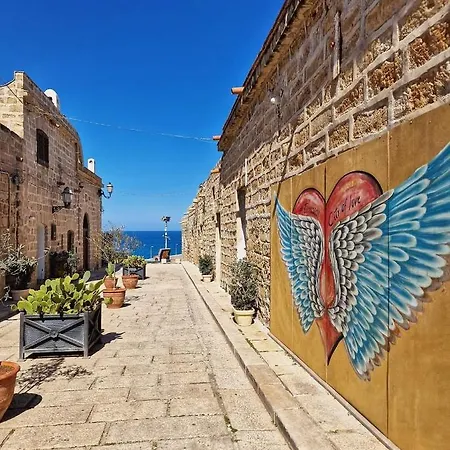 Kleade 3* 테라시니