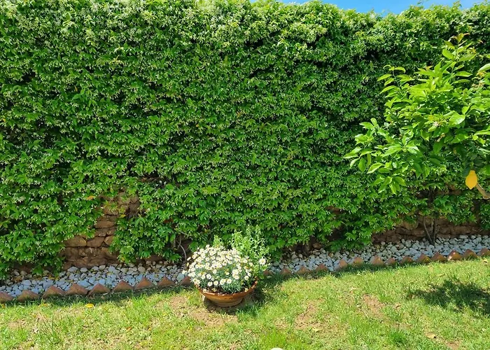 Bed & Breakfast Kleade Terrasini